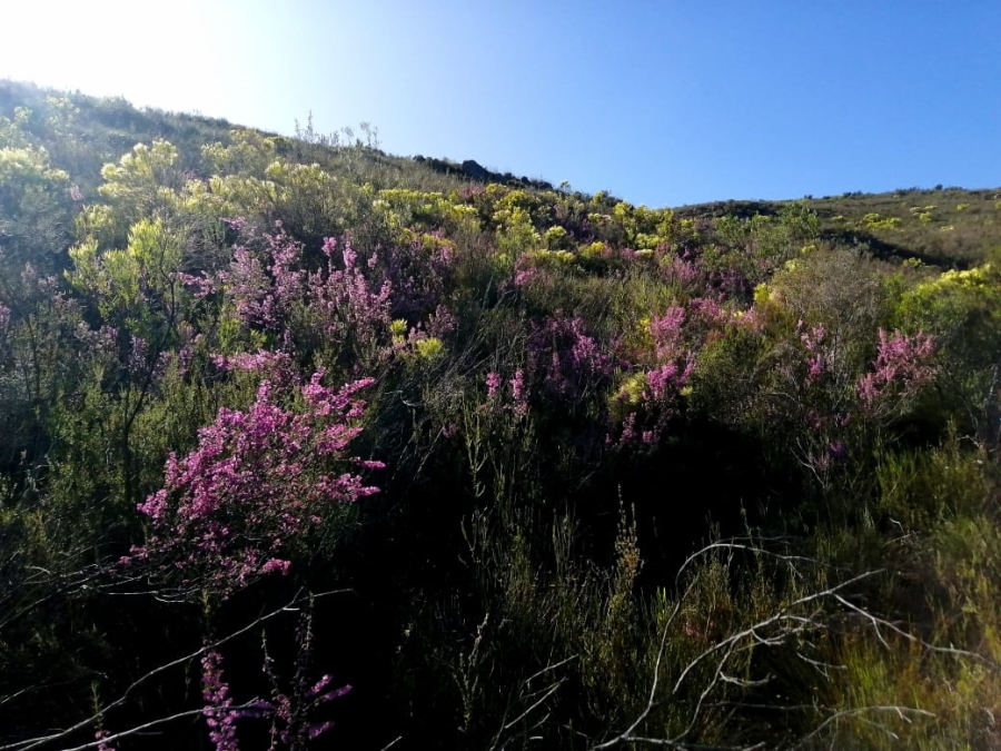 3 Bedroom Property for Sale in Joubertina Eastern Cape